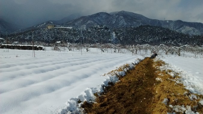 IMG_20170116_184602344