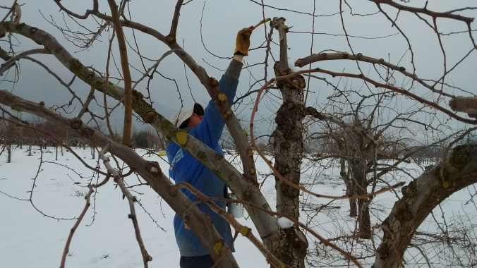 IMG_20170118_162124810