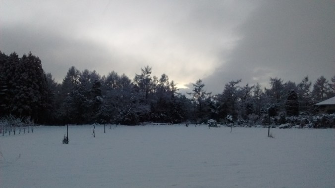 IMG_20170120_134103010