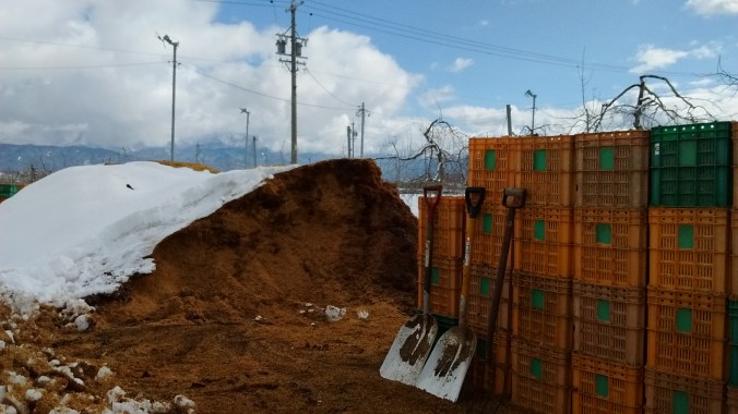 IMG_20170120_182358534