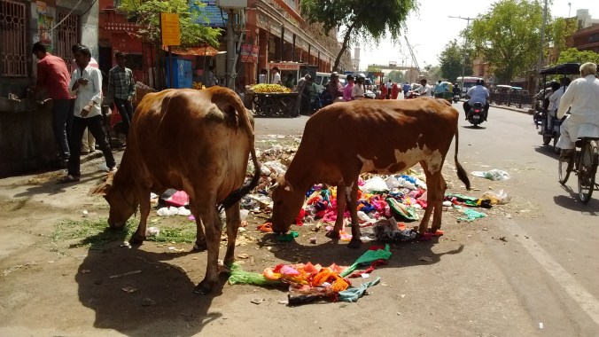 IMG_20170419_103356714