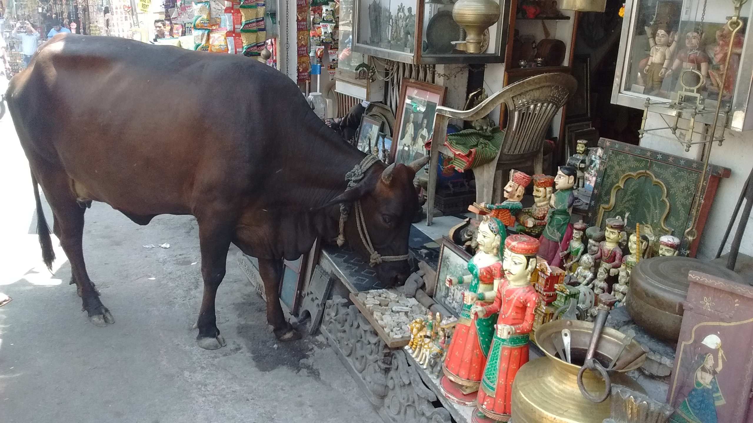 IMG_20170422_114415637