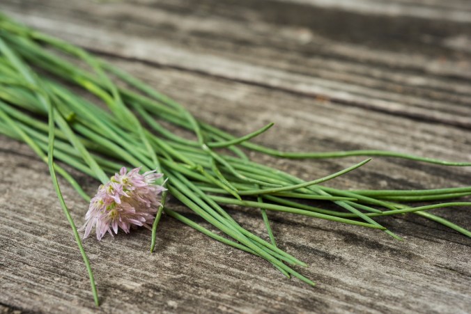 Chives.jpg