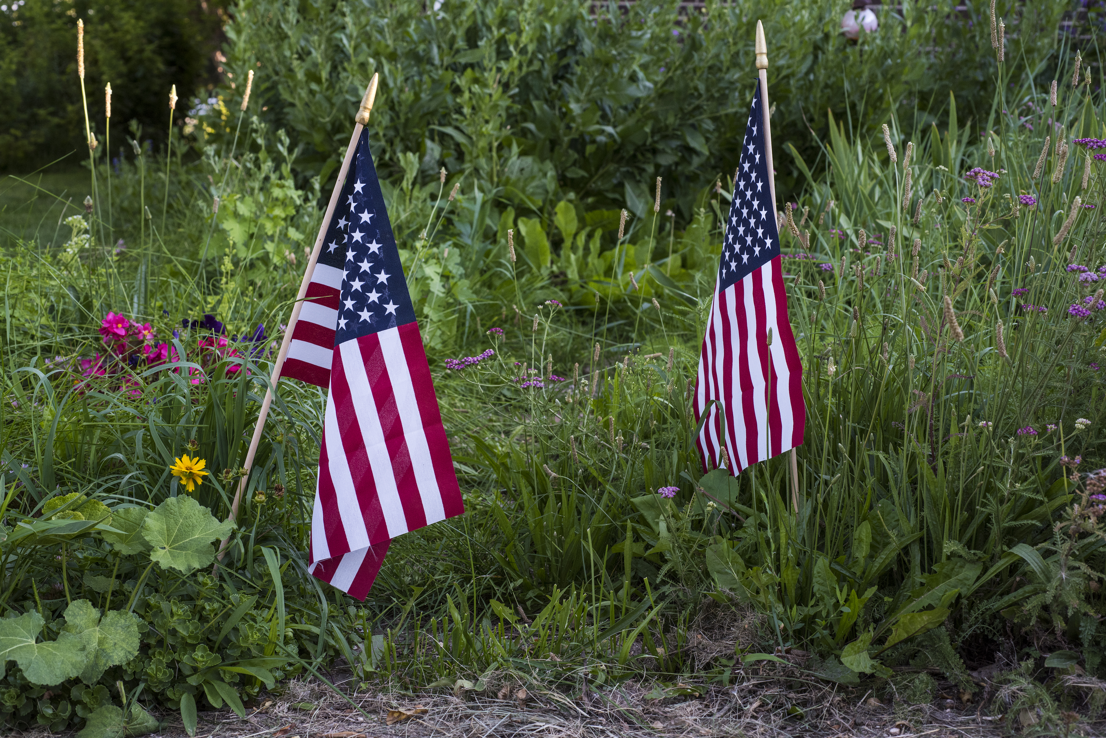 Garden Flags