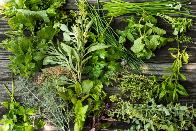 Herb Assortment