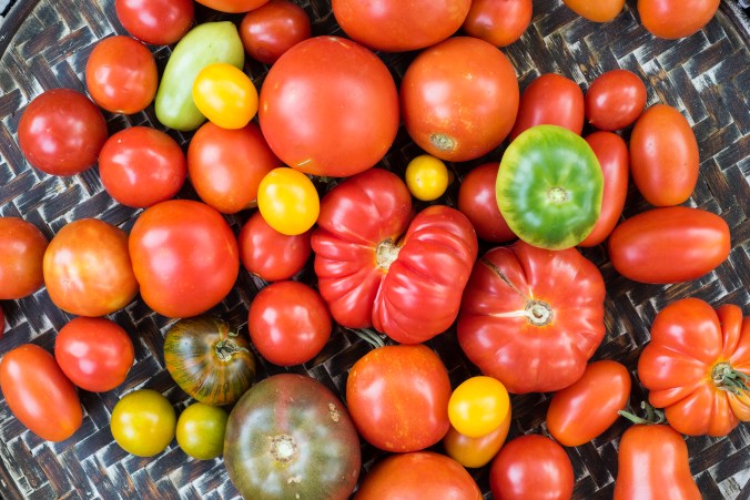 Tomatoes Tray 02.jpg
