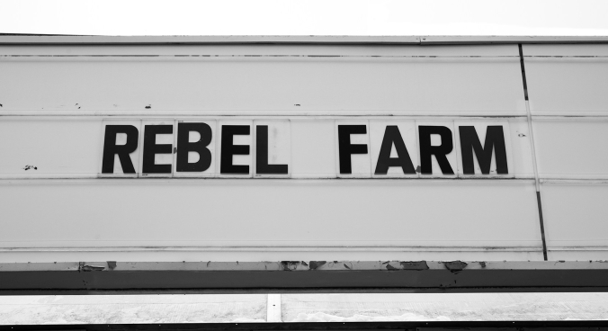 rebel-farm-01-sml.jpg