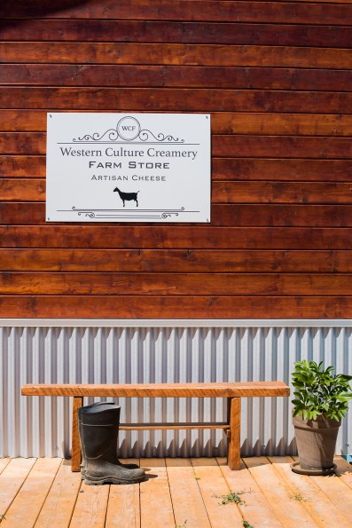 Western Culture 01 sml