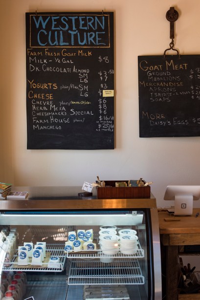 Western Culture 02 sml