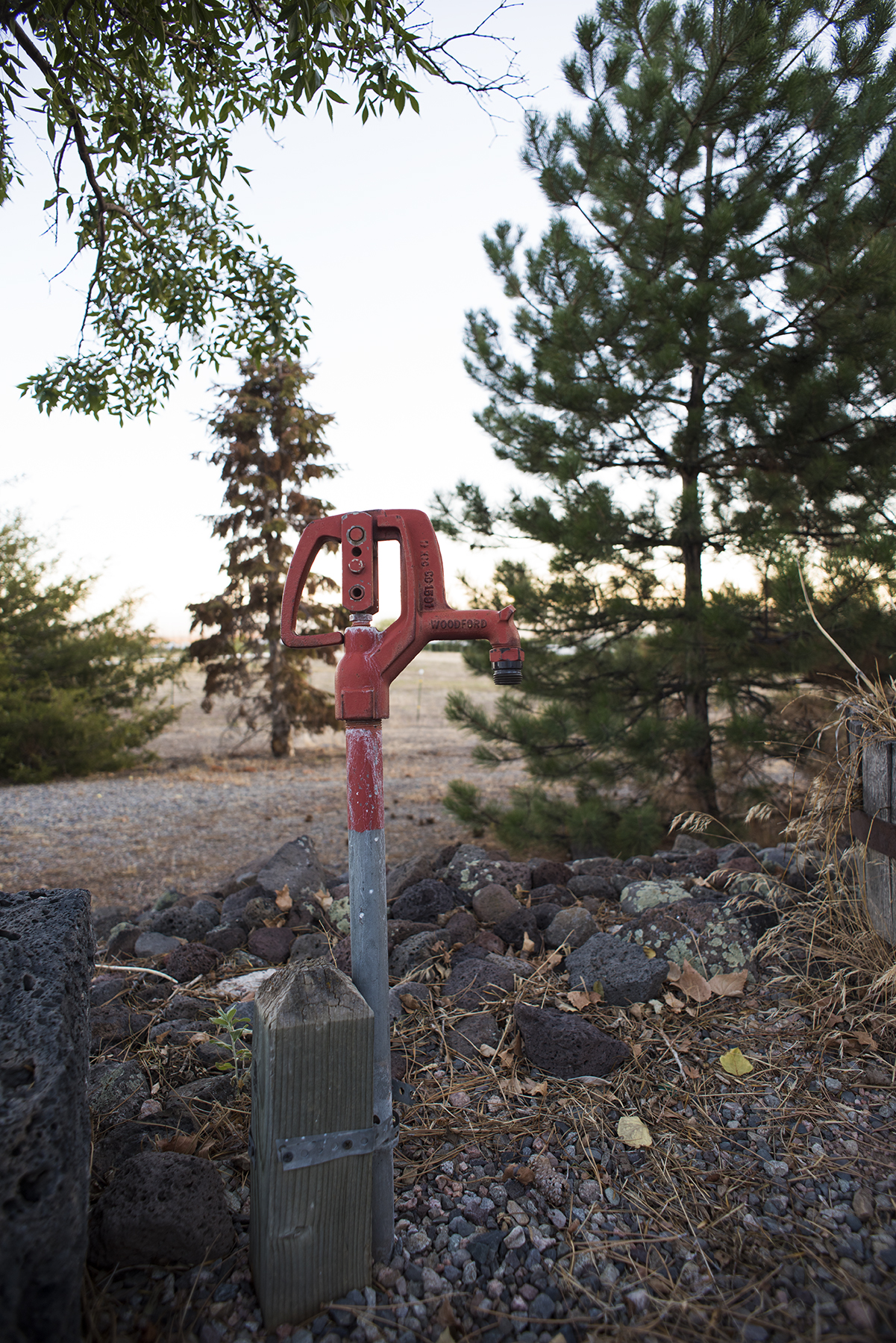 QF Irrigation 03 sml