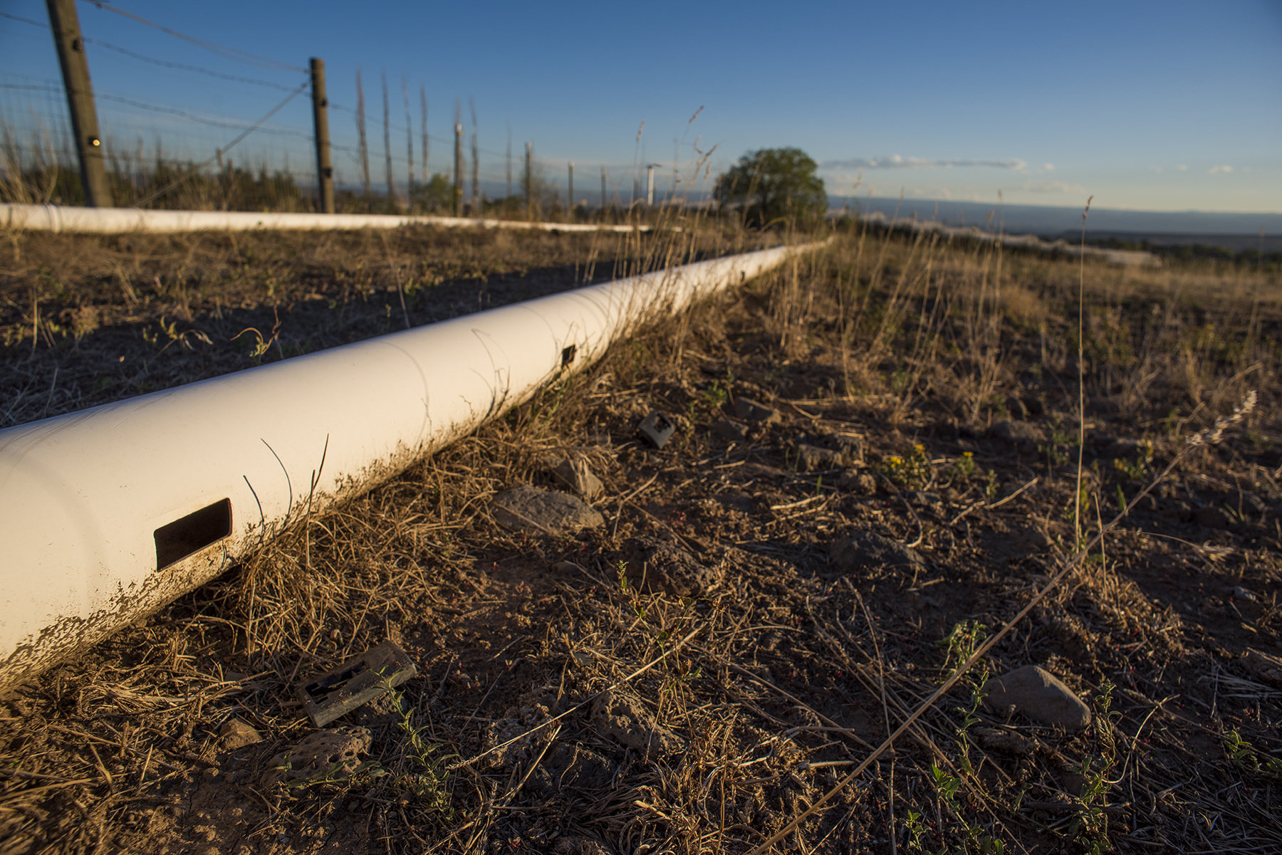 QF Irrigation 07 sml