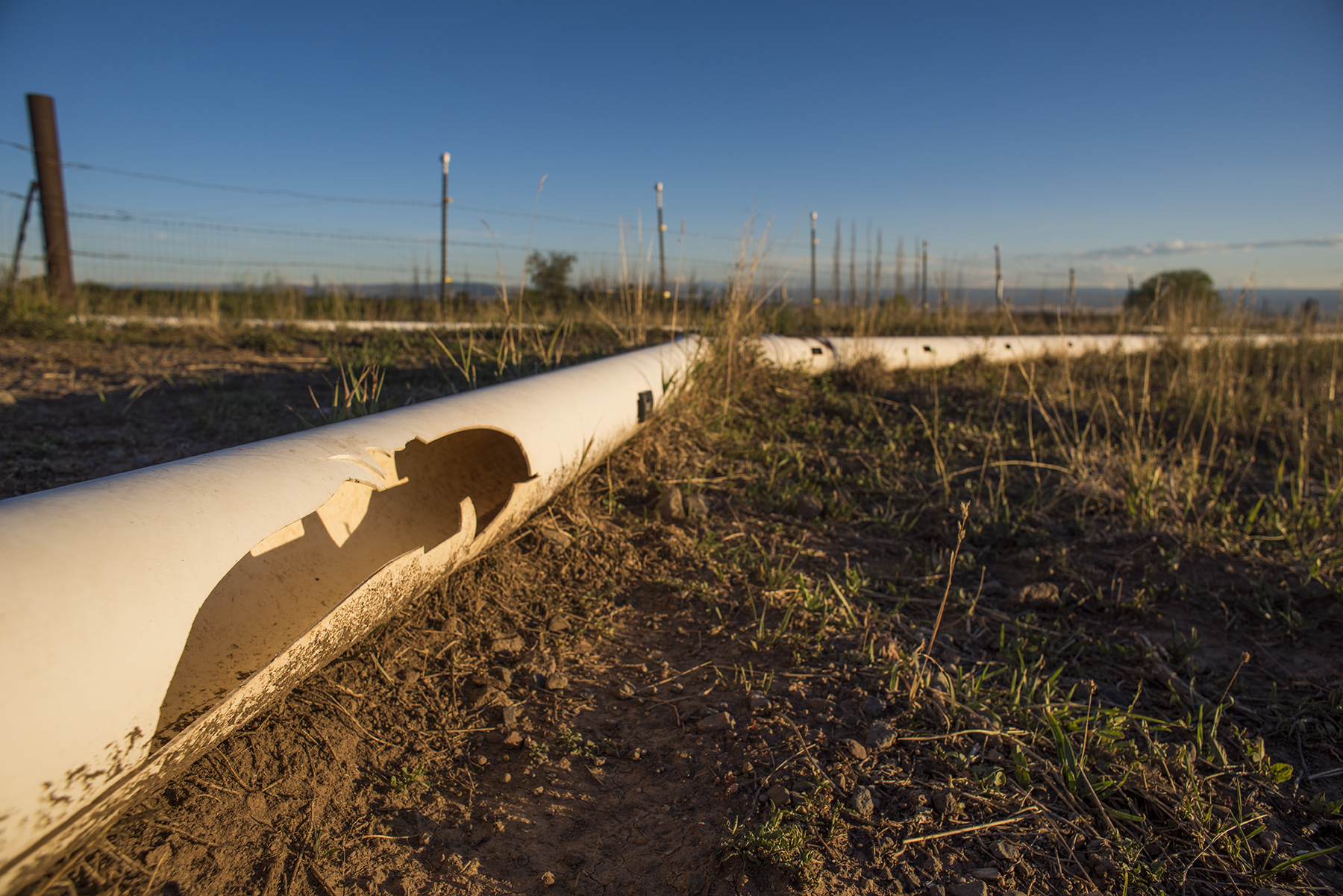 QF Irrigation 08 sml