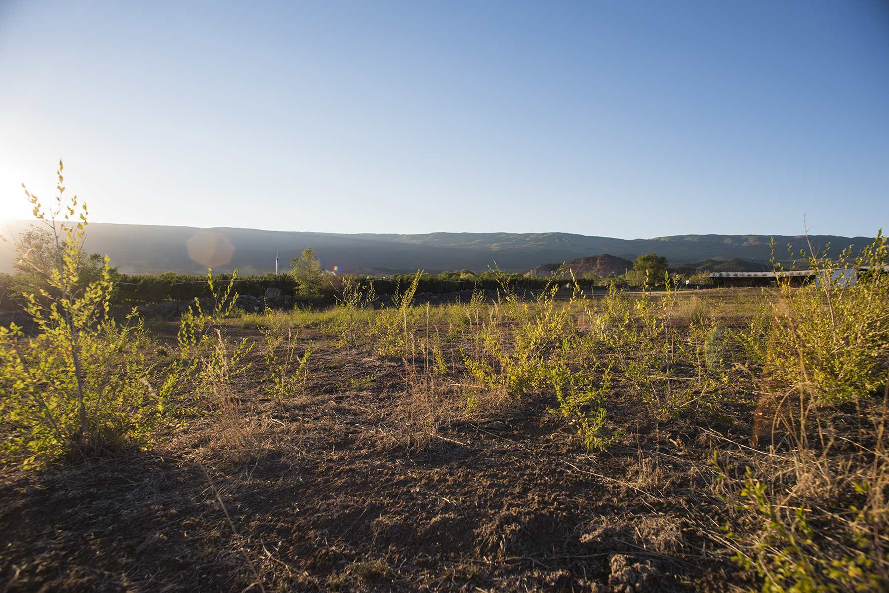 QF Irrigation 09 sml