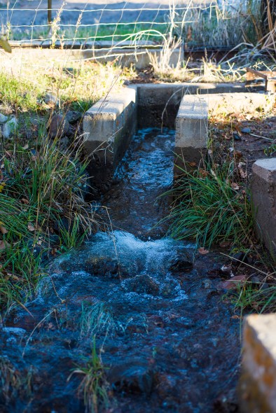 QF Irrigation 15 sml