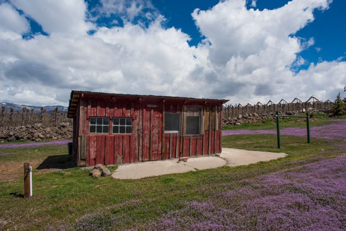 Chicken House 08 sml