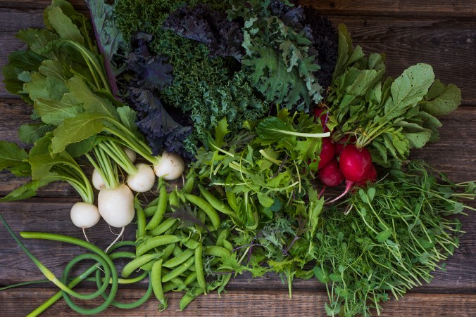 Summer CSA wk1 01 sml