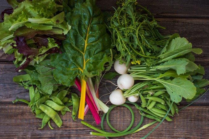 Summer CSA wk2 01 sml