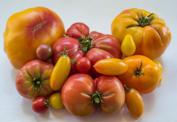 Heirloom Tomatoes 01 sml