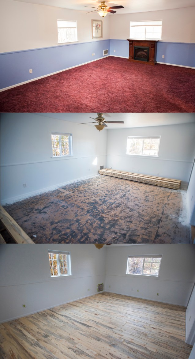 QF Master Tryptic sml