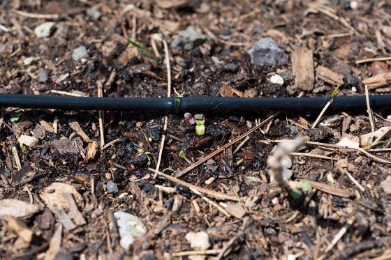 Drip Irrigation 06 sml