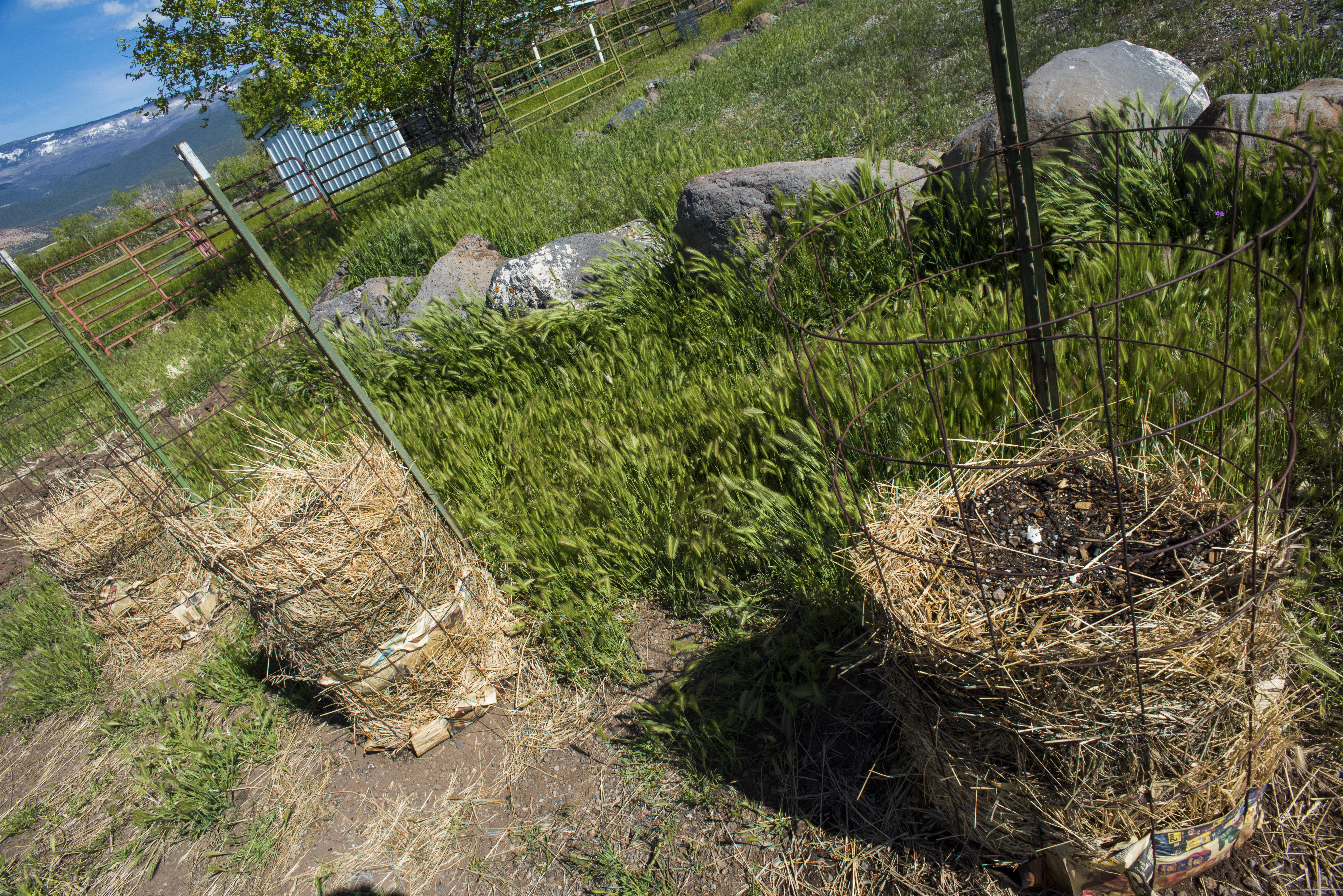 Potato Towers 01 sml