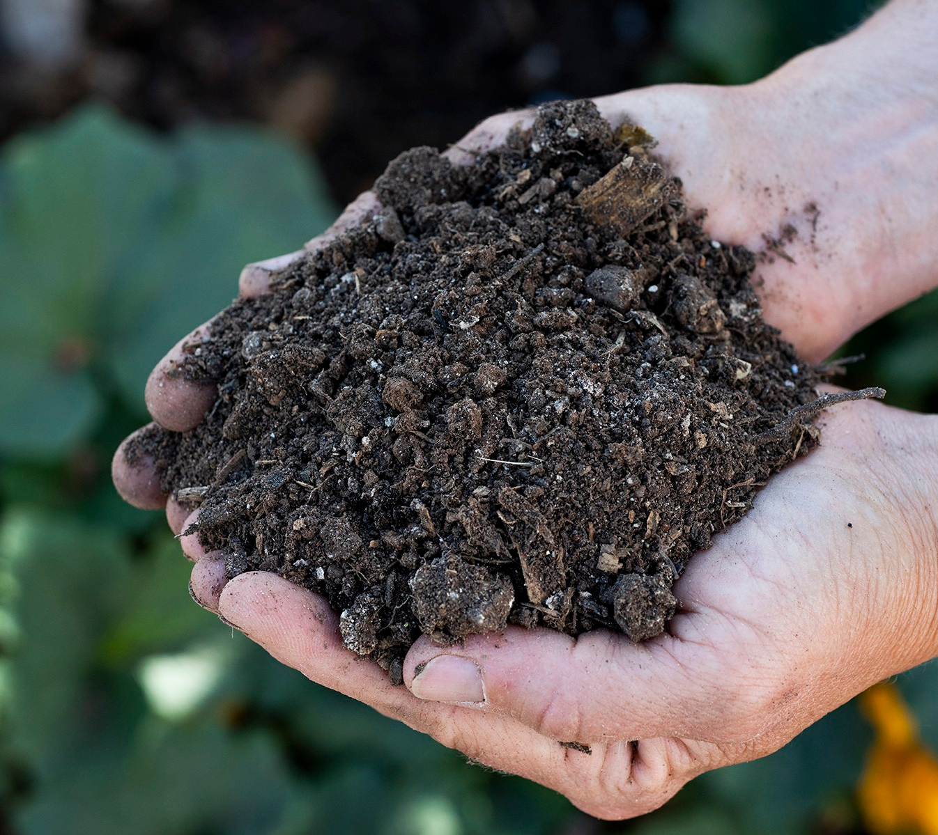 How to start composting | Finding Quiet Farm
